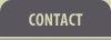 contact btn